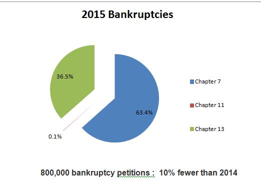 Bankruptcy Stats 2015 - full year - Consumer