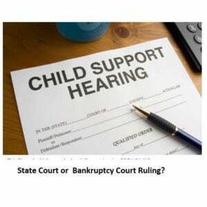 Bankruptcy Support Obligations