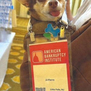 Bankruptcy Dog Friendly Law Firm